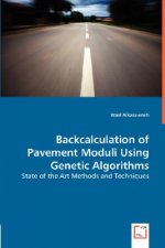 Backcalculation of Pavement Moduli Using Genetic Algorithms