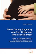 Stress During Pregnancy can Alter Offspring's Brain Development