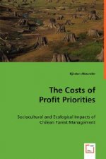 Costs of Profit Priorities