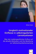 Vergleich motivationaler Einflüsse in selbstregulierten Lernsituationen