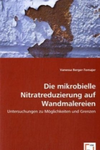 Die mikrobielle Nitratreduzierung auf Wandmalereien