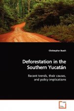 Deforestation in the Southern Yucatan