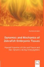 Dynamics and Mechanics of Zebrafish Embryonic Tissues