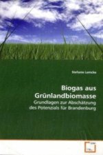 Biogas aus Grünlandbiomasse