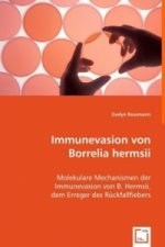 Immunevasion von Borrelia hermsii