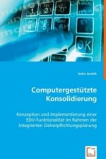 Computergestützte Konsolidierung