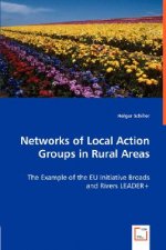 Networks of Local Action Groups in Rural Areas - The Example of the EU Initiative Broads and Rivers LEADER+
