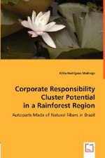 Corporate Responsibility Cluster Potential in a Rainforest Region