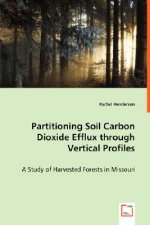 Partitioning Soil Carbon Dioxide Efflux through Vertical Profiles