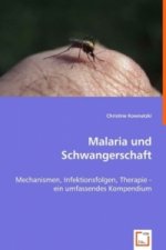 Malaria und Schwangerschaft