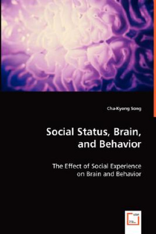 Social Status, Brain, and Behavior