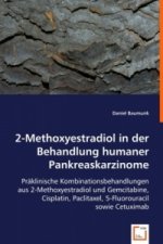 2-Methoxyestradiol in der Behandlung humaner Pankreaskarzinome
