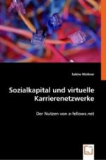 Sozialkapital und virtuelle Karrierenetzwerke