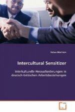 Intercultural Sensitizer