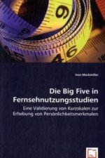 Die Big Five in Fernsehnutzungsstudien