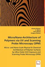 Micro/Nano-Architecture of Polymers