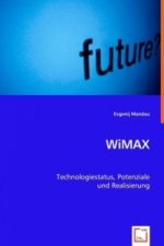 WiMAX