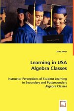 Learning in USA Algebra Classes - Instructor Perceptions of Student Learning in Secondary and Postsecondary Algebra Classes