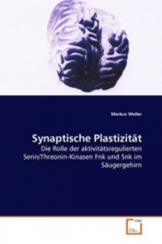 Synaptische Plastizität