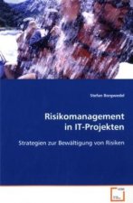 Risikomanagement in IT-Projekten