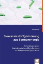 Biowasserstoffgewinnung aus Sonnenenergie
