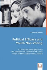 Political Efficacy and Youth Non-Voting