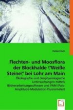 Flechten- und Moosflora der Blockhalde 