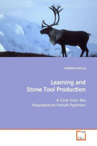 Learning and Stone Tool Production