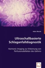Ultraschallbasierte Schlaganfalldiagnostik