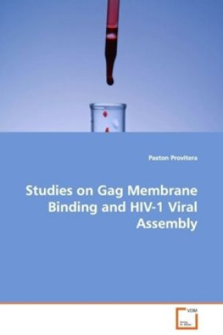 Studies on Gag Membrane Binding and HIV-1 Viral Assembly