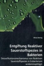 Entgiftung Reaktiver Sauerstoffspezies in Bakterien
