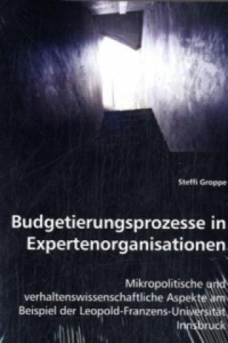 Budgetierungsprozesse in Expertenorganisationen