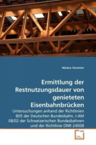 Ermittlung der Restnutzungsdauer von genieteten Eisenbahnbrücken