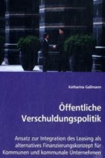 Öffentliche Verschuldungspolitik