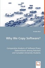 Why We Copy Software?