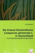 Die Knäuel-Glockenblume Campanula glomerata L. in Deutschland
