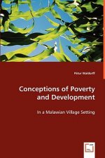 Conceptions of Poverty and Development