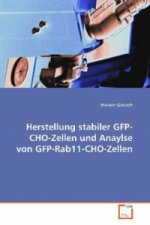 Herstellung stabiler GFP-CHO-Zellen und Anaylse von GFP-Rab11-CHO-Zellen