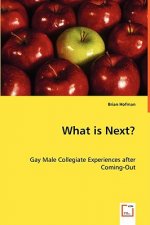 What is Next? Gay Male Collegiate Experiences after Coming-Out