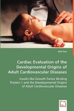 Cardiac Evaluation of the Developmental Origins of Adult Cardiovascular Diseases