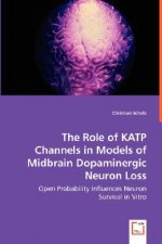 Role of KATP Channels in Models of Midbrain Dopaminergic Neuron Loss