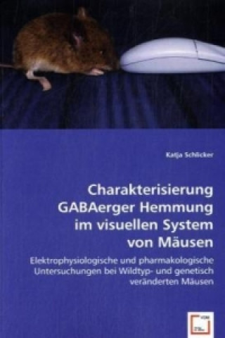 Charakterisierung GABAerger Hemmung im visuellen System von Mäusen