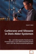 Carborane und Siloxane in Diels-Alder-Systemen