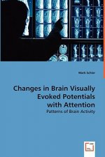 Changes in Brain Visually Evoked Potentials with Attention