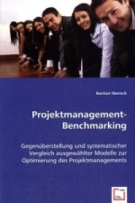 Projektmanagement-Benchmarking