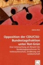 Opposition der CDU/CSU-Bundestagsfraktion unter Rot-Grün