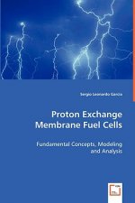 Proton Exchange Membrane Fuel Cells
