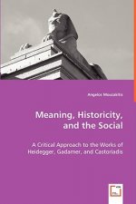Meaning. Historicity, and the Social