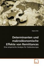 Determinanten und makroökonomische Effekte von Remittances