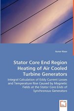 Stator Core End Region Heating of Air Cooled Turbine Generators - Integral Calculation of Eddy Current Losses and Temperature Rise Caused by Magnetic